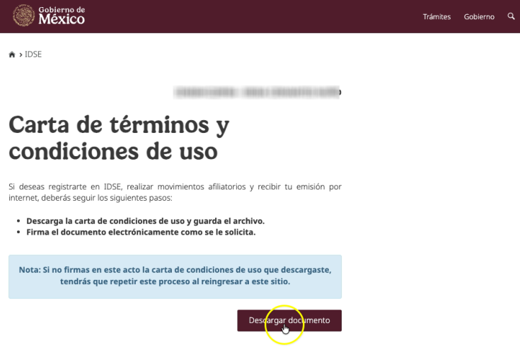 Descargar carta de términos y condiciones del IDSE