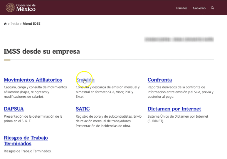 Menú principal de servicios patronales del IDSE